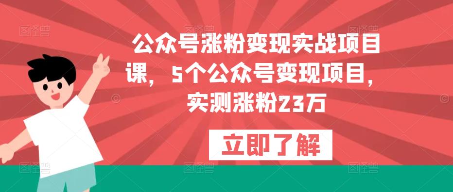 公众号涨粉变现实战项目课，5个公众号变现项目，实测涨粉23万-云启学堂---专注分享与整理各种自媒体课程