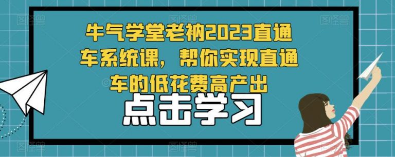 牛气学堂老衲2023直通车系统课，帮你实现直通车的低花费高产出-云启学堂---专注分享与整理各种自媒体课程