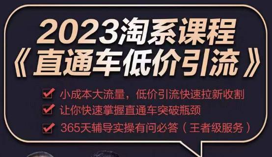 2023直通车低价引流玩法课程，小成本大流量，低价引流快速拉新收割，让你快速掌握直通车突破瓶颈-云启学堂---专注分享与整理各种自媒体课程