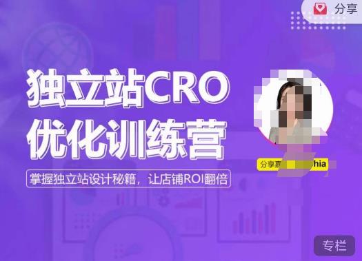 独立站CRO优化训练营，掌握独立站设计秘籍，打造高转化的独立站，让店铺ROI翻倍-云启学堂---专注分享与整理各种自媒体课程