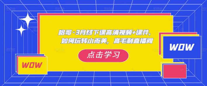 哈哥·3月线下实操课高清视频+课件，如何玩转小而美，高毛利直播间-云启学堂---专注分享与整理各种自媒体课程
