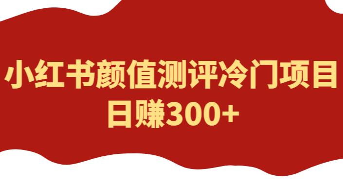 外面1980的项目，小红书颜值测评冷门项目，日赚300+【揭秘】-云启学堂---专注分享与整理各种自媒体课程