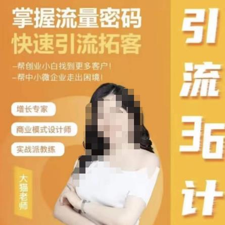 大猫·引流36计，掌握流量密码，快速引流拓客，帮创业小白找到更多客户，帮中小微企业走出困境-云启学堂---专注分享与整理各种自媒体课程