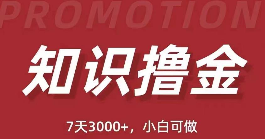 抖音知识撸金项目：简单粗暴日入1000+执行力强当天见收益(教程+资料)-云启学堂---专注分享与整理各种自媒体课程