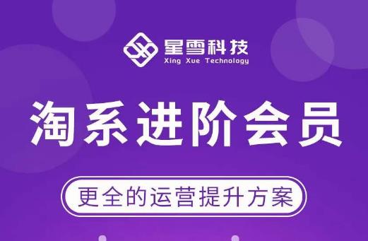 星雪·淘系进阶课程，快速提升突破技能流量瓶颈必备（更新2023年5月）-云启学堂---专注分享与整理各种自媒体课程