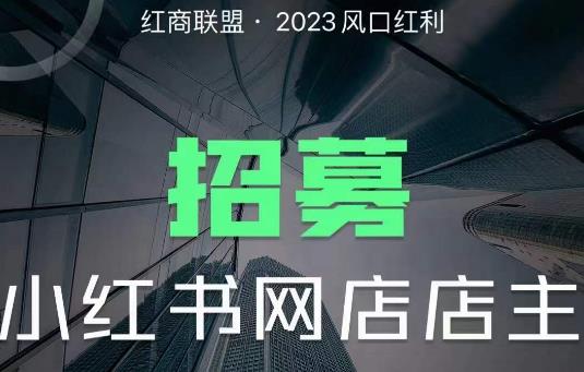 红商联盟·小红书无货源电商1.0，0粉丝无需囤货，小白也可以轻松上手的无货源项目-云启学堂---专注分享与整理各种自媒体课程